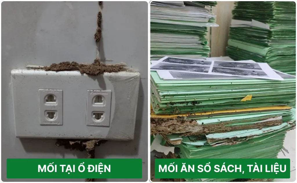 mối ăn sổ sách, ổ điện