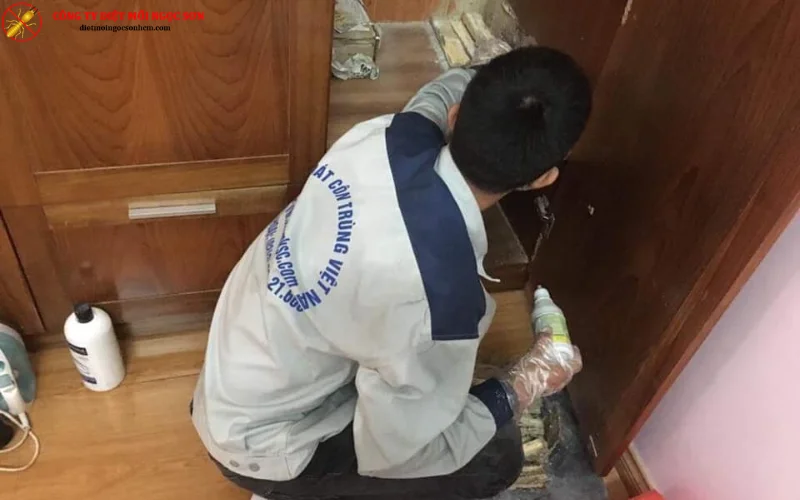 phun thuốc lây nhiễm mối - diệt mối tận gốc