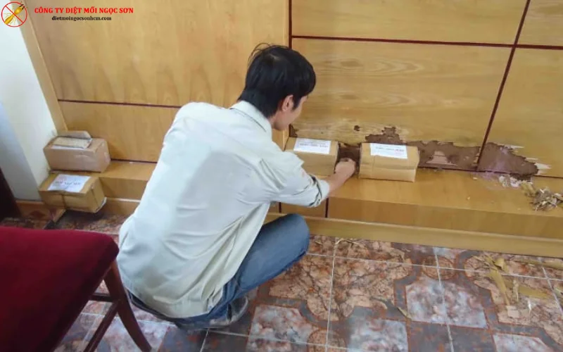 Phương pháp diệt mối bằng cách đặt hộp nhử mối