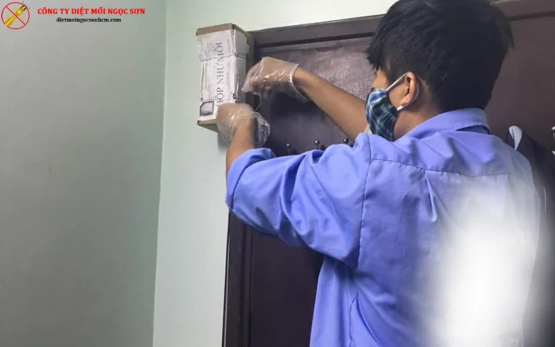 Phương pháp diệt mối bằng hộp nhử mối 