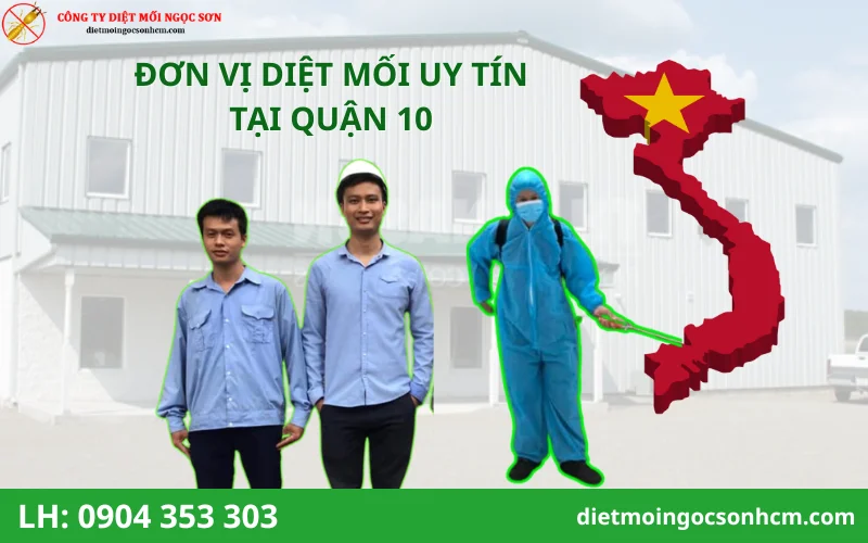 Công ty diệt mối tại quận 10 uy tín nhất 2025