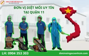 công ty diệt mối tại quận 11 uy tín