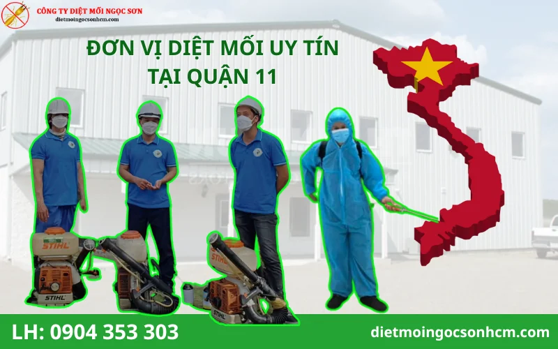 công ty diệt mối tại quận 11 uy tín 
