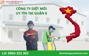 công ty diệt mối tại quận 8 uy tín