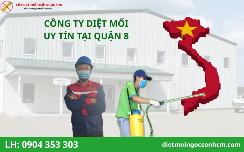 công ty diệt mối tại quận 8 uy tín