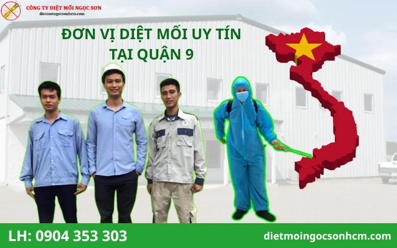 top 6 công ty diệt mối tại quận 9 uy tín