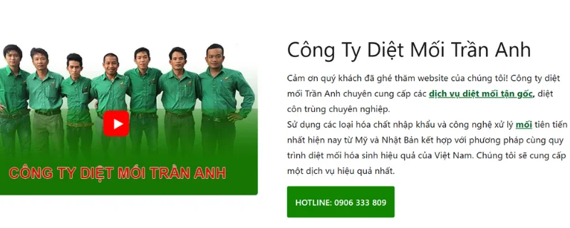 Công ty diệt mối Trần Anh