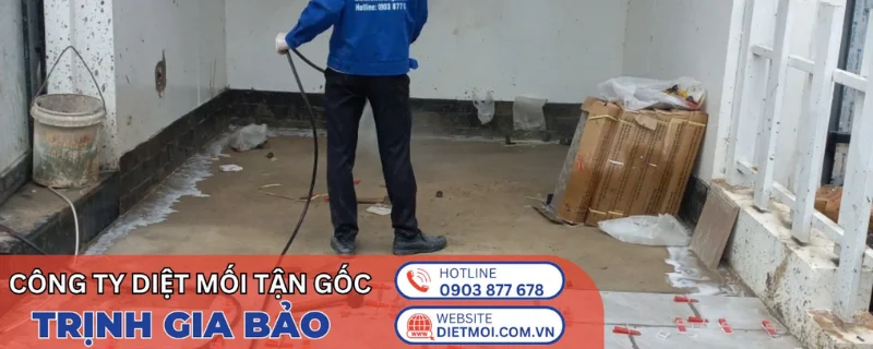 Công ty diệt mối Trịnh Gia bảo