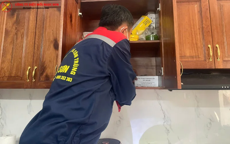 Đặt hộp nhử mối