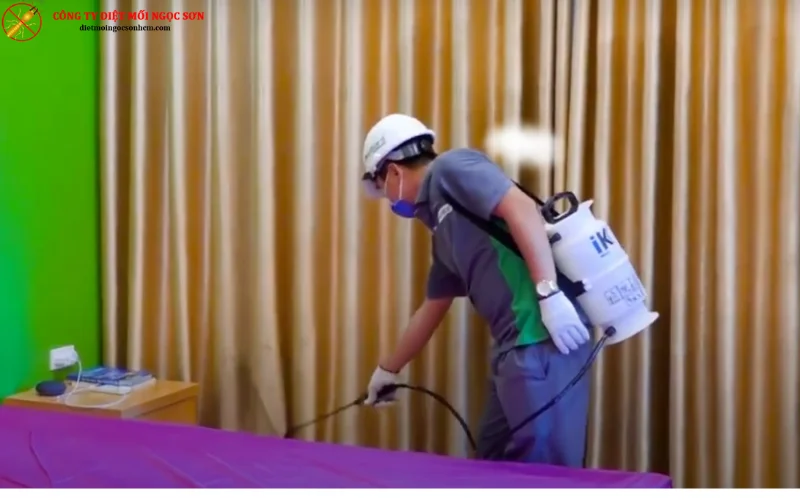 Dịch vụ diệt gián cho nhà ở - chung cư