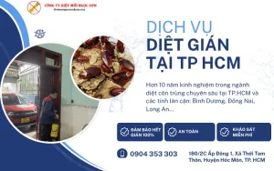 Dịch vụ diệt gián tại Tp. HCM