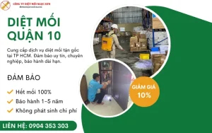 dịch vụ diệt mối quận 10 tận gốc
