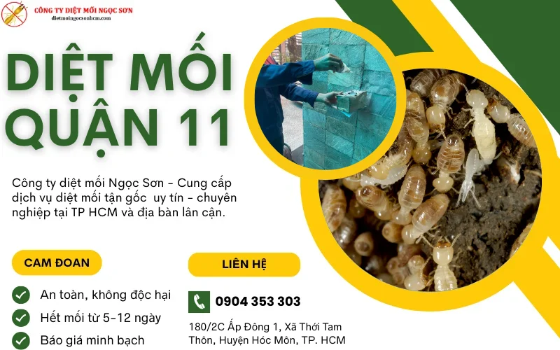 Dịch vụ diệt mối Quận 11 tận gốc, không tái phát