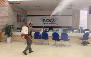 Dịch vụ phun thuốc diệt muỗi uy tín