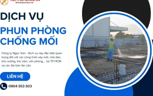 Dịch vụ phun phòng chống mối