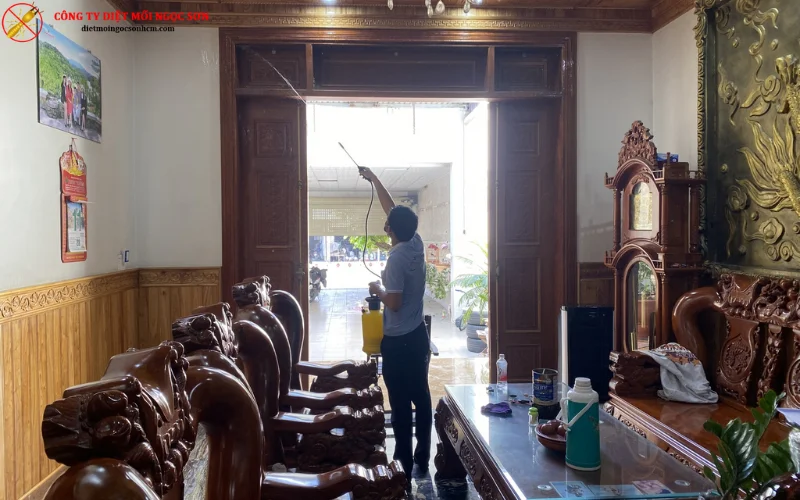 Dịch vụ phun phòng chống mối cho nhà ở