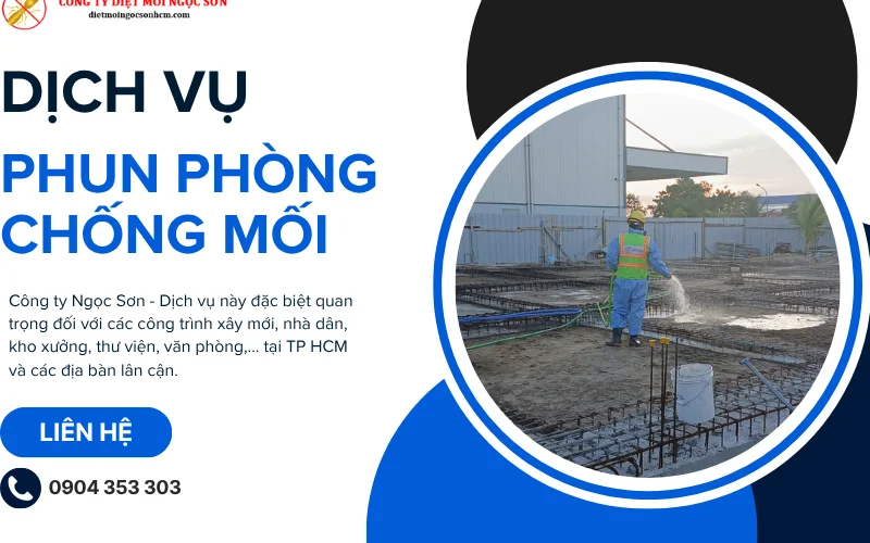 Dịch vụ phun phòng chống mối