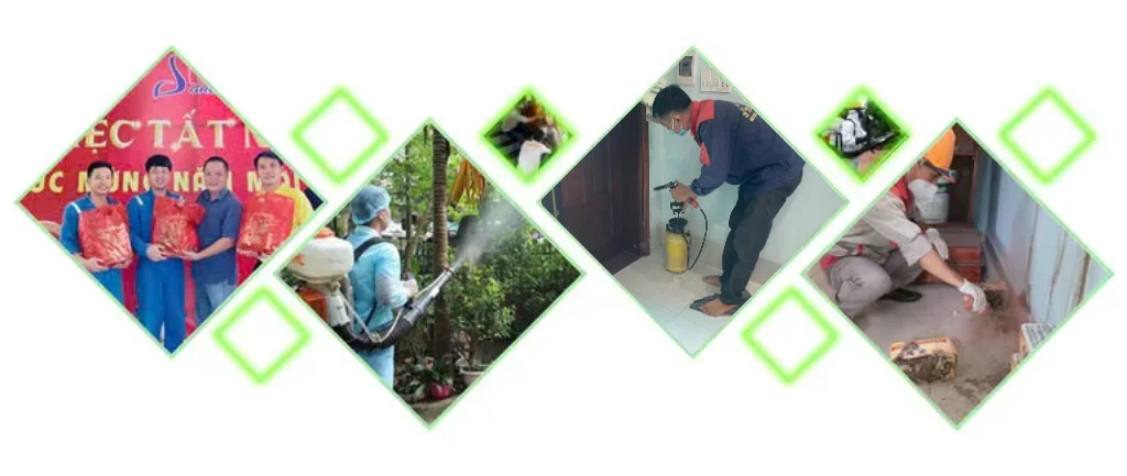 Diệt mối Ngọc Sơn - Đơn vị diệt mối số 1 HCM