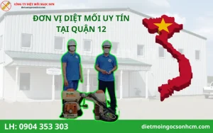 Đơn vị diệt mối tại Quận 12 uy tín nhất