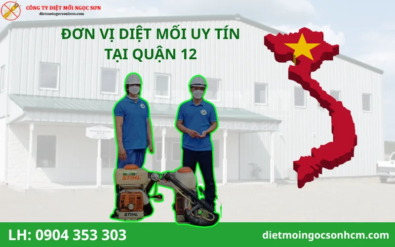 Đơn vị diệt mối tại Quận 12 uy tín nhất