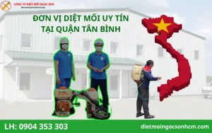 Đơn vị diệt mối tại quận Tân Bình uy tín nhất hiện nay
