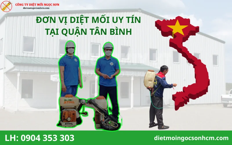 Đơn vị diệt mối tại quận Tân Bình uy tín nhất hiện nay