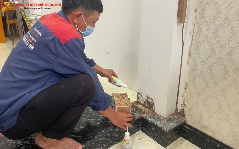 Dùng thuốc diệt mối lây lan nhiễm mối