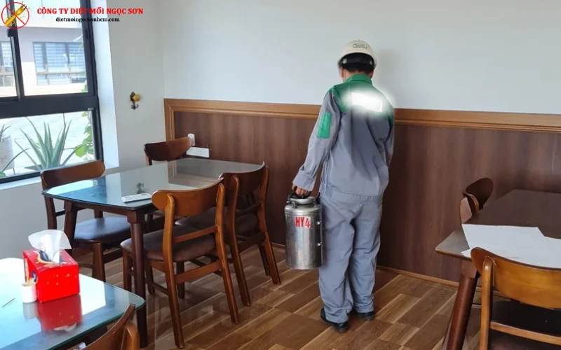 phun thuốc diệt gián an toàn của đức