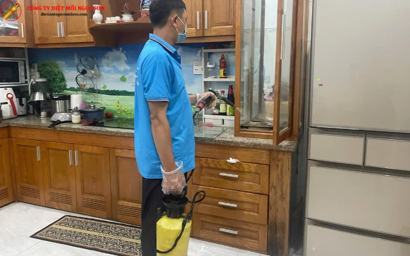 Phun thuốc phòng ngừa mối