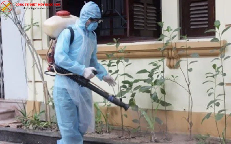 Tiến hành phun thuốc diệt muỗi